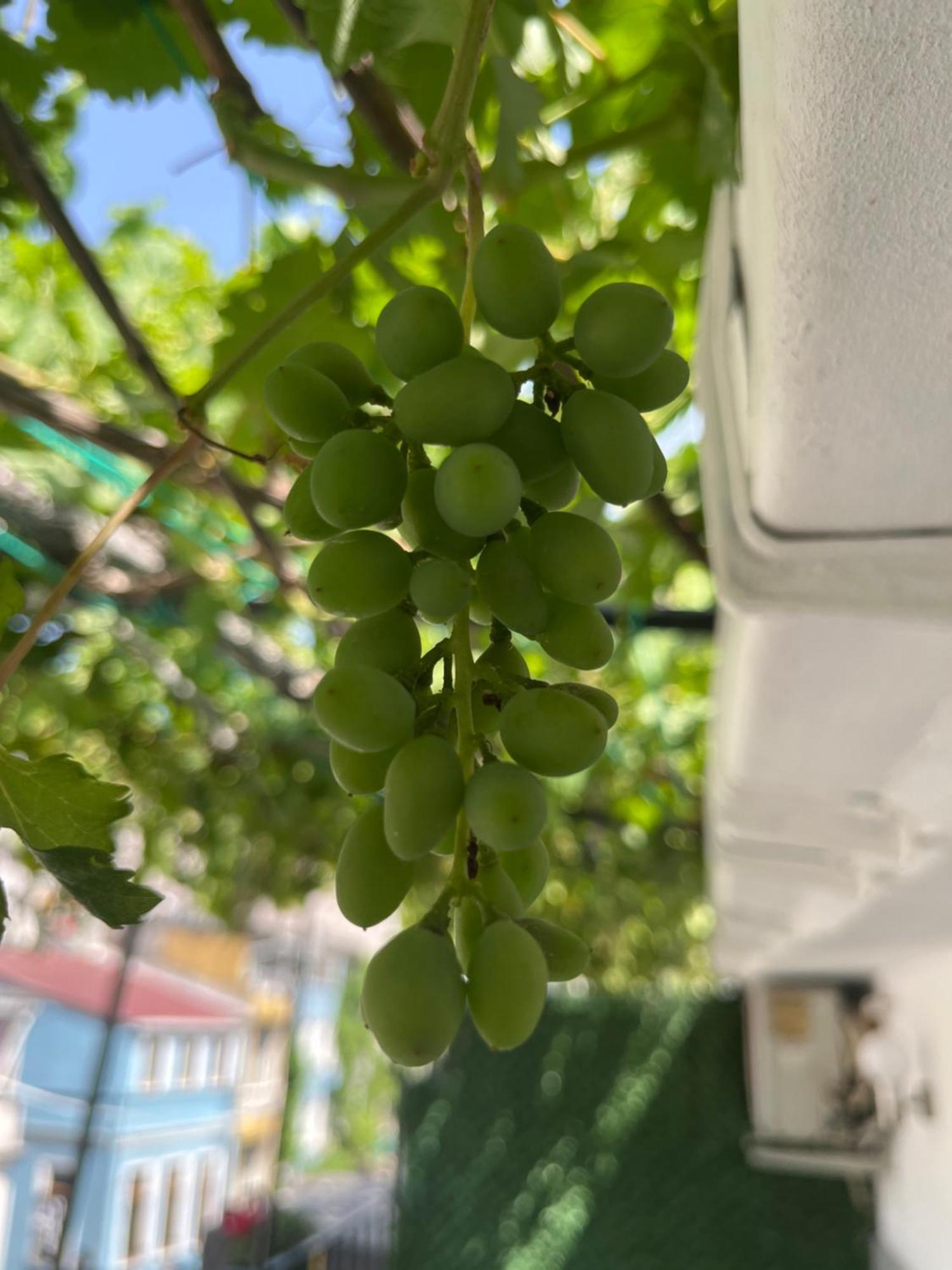 Taksim Neo Pera Hotel de apartamente *